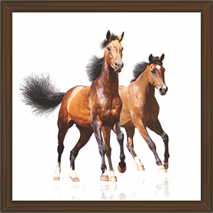Horse Paintings (HS-3409)